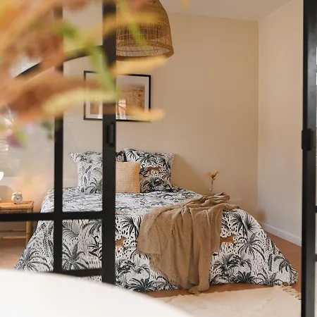 Elegant Lumineux Proche Cathedrale L Clim Apartament Albi