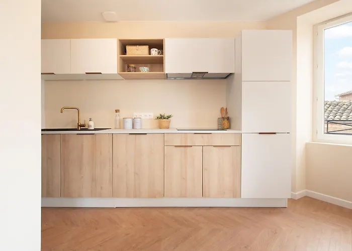 Elegant Lumineux Proche Cathedrale L Clim * Альби