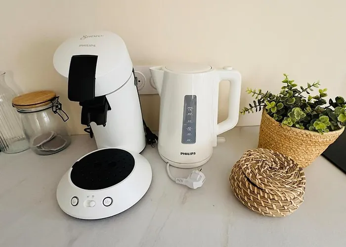 Elegant Lumineux Proche Cathedrale L Clim * Альби